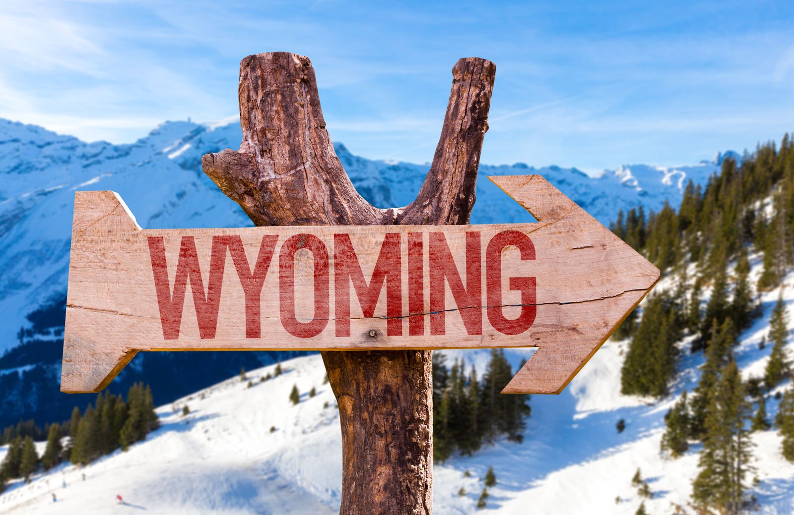 Best Companies for Car Insurance in Wyoming