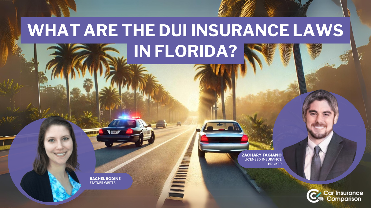 What are the DUI insurance laws in Florida?