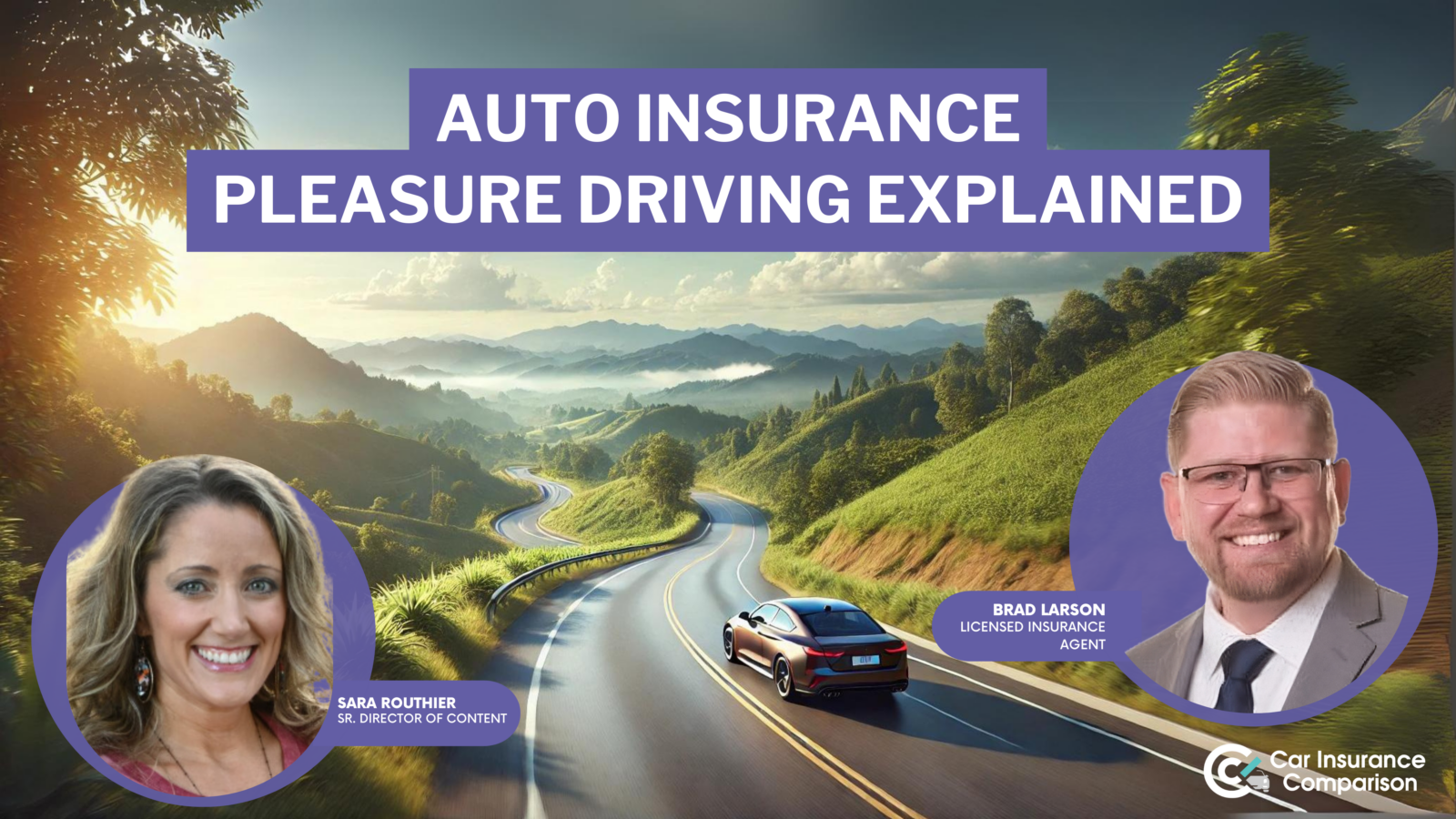 auto insurance pleasure driving explained