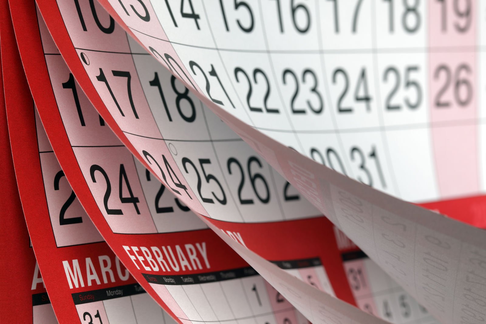 Car Insurance Due Date: How Can You Find It?