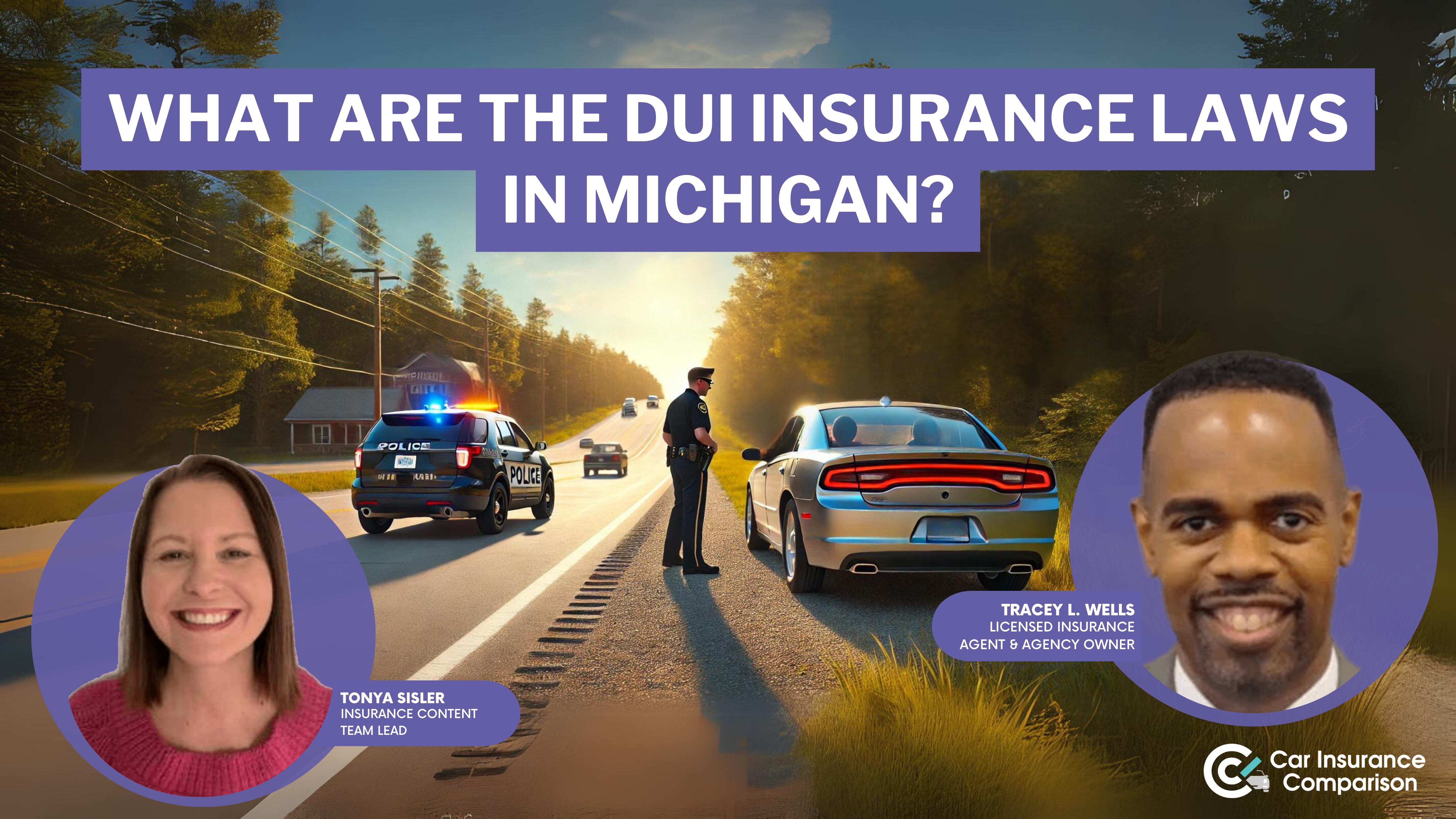 What are the DUI insurance laws in Michigan?