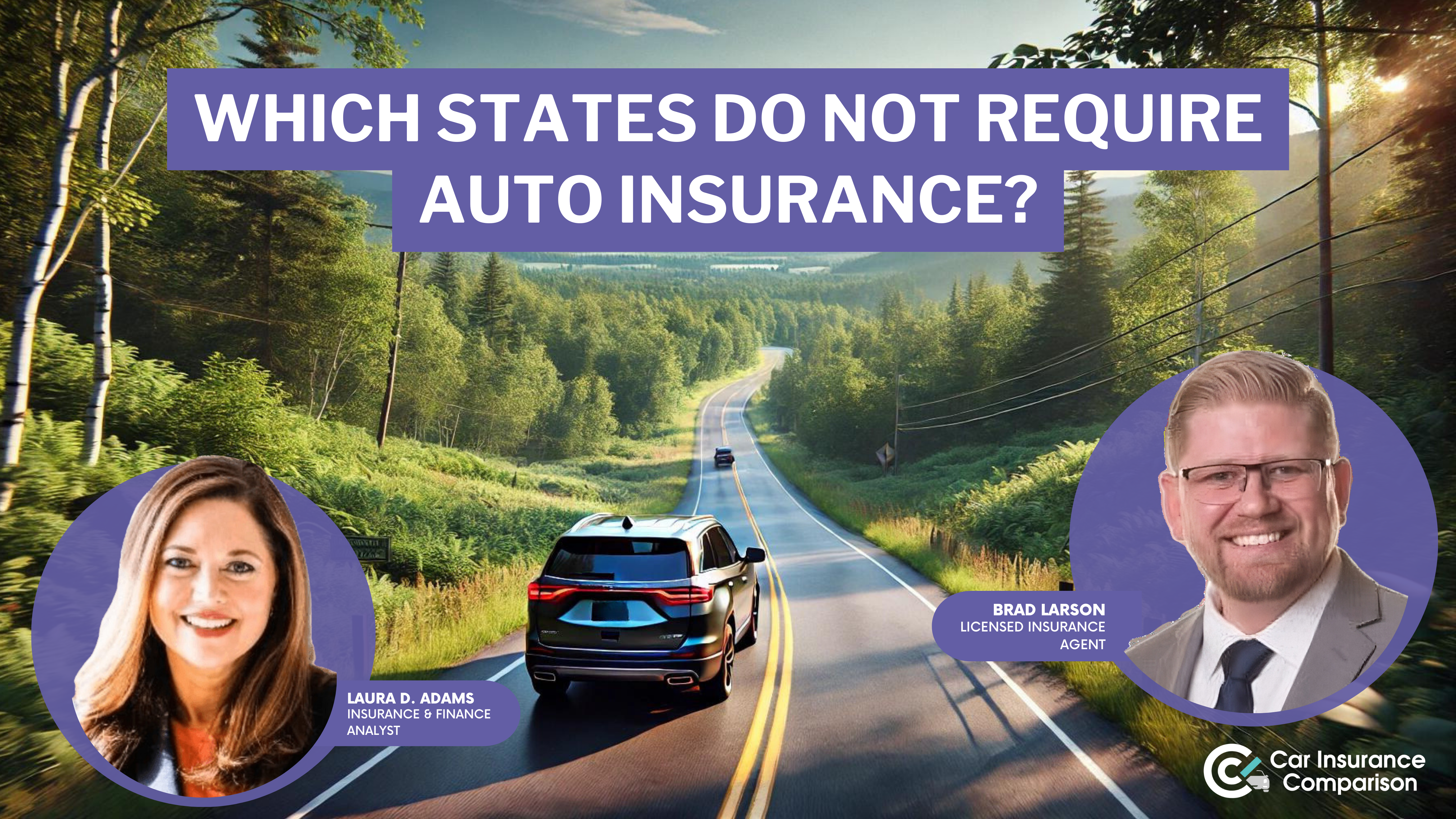 Which states do not require car insurance?